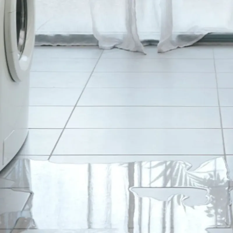 Appliance Leak Cleanup in Harrison County, TX