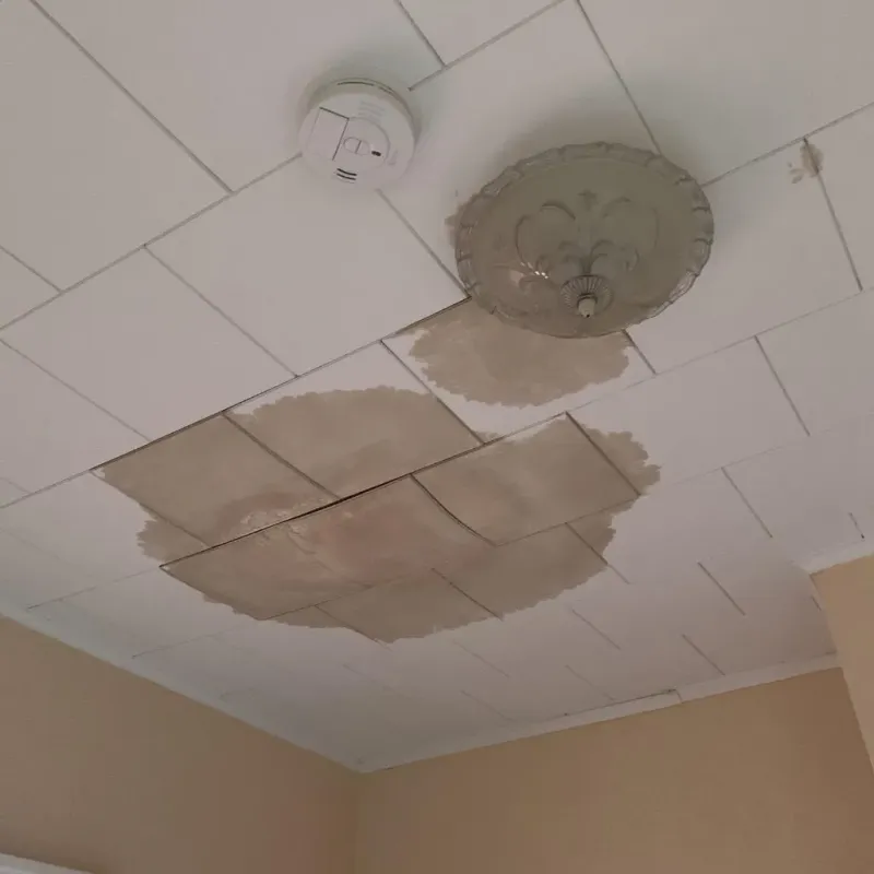 Ceiling Water Damage Repair in Harrison County, TX
