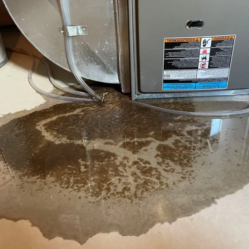 Pipe Burst and Leak Restoration in Harrison County, TX